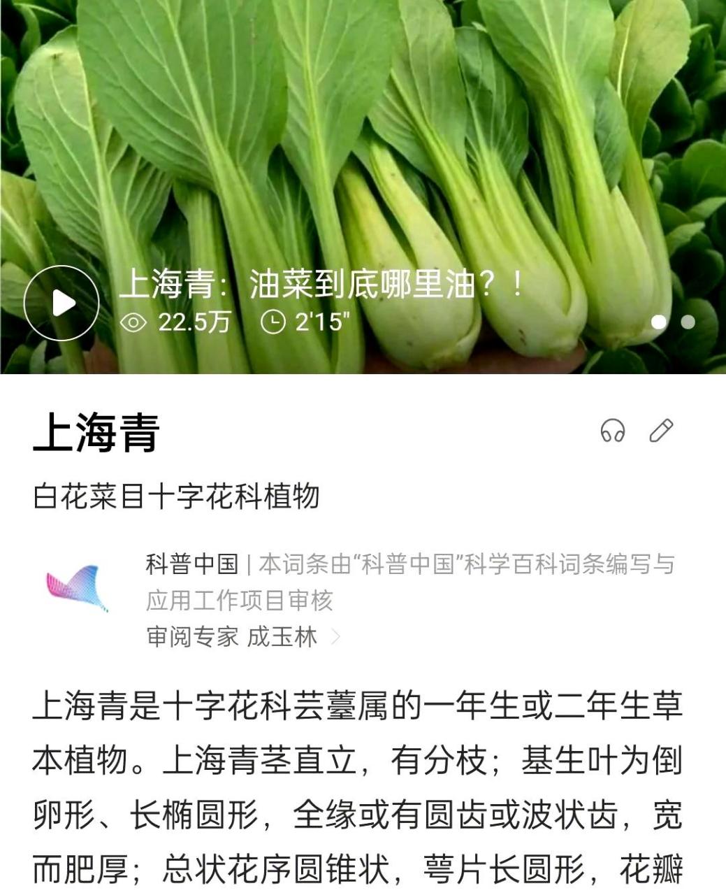 上海青确实是一种青菜,你知道吗?