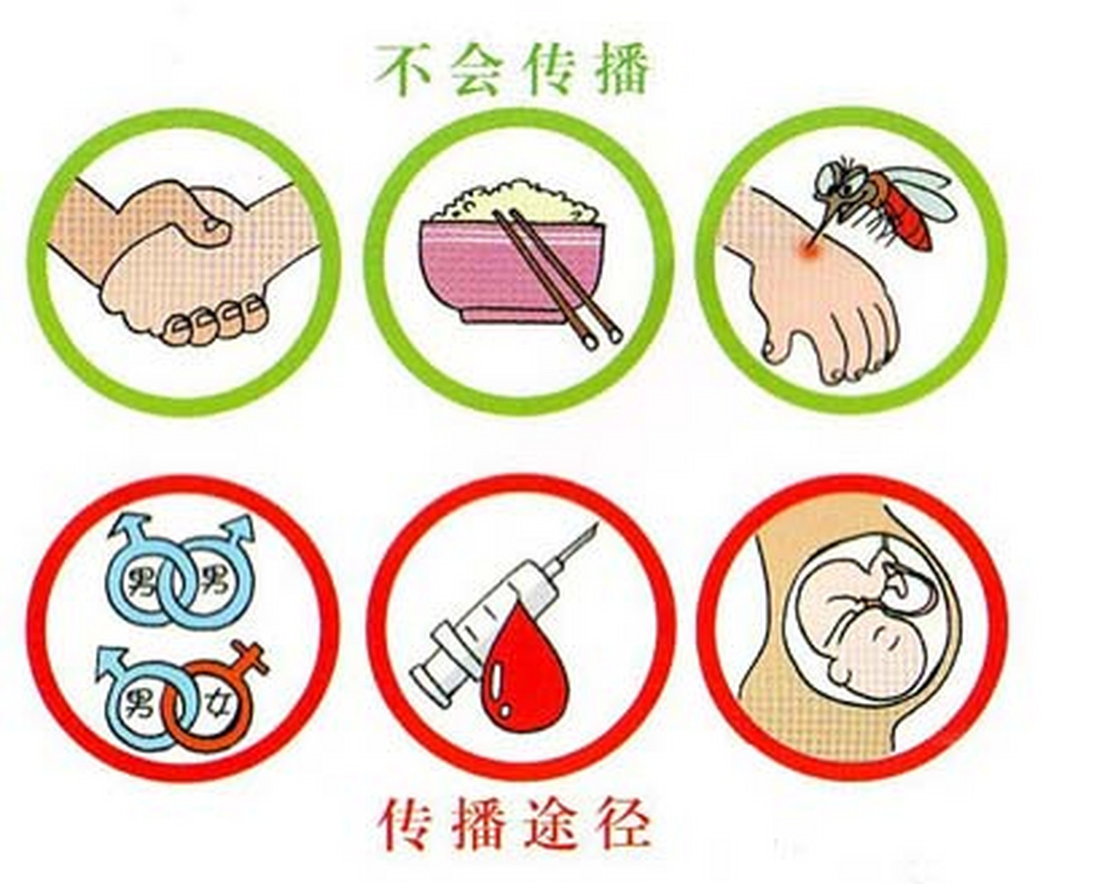 乙肝病毒主要经母婴传播,血液传播,性传播.