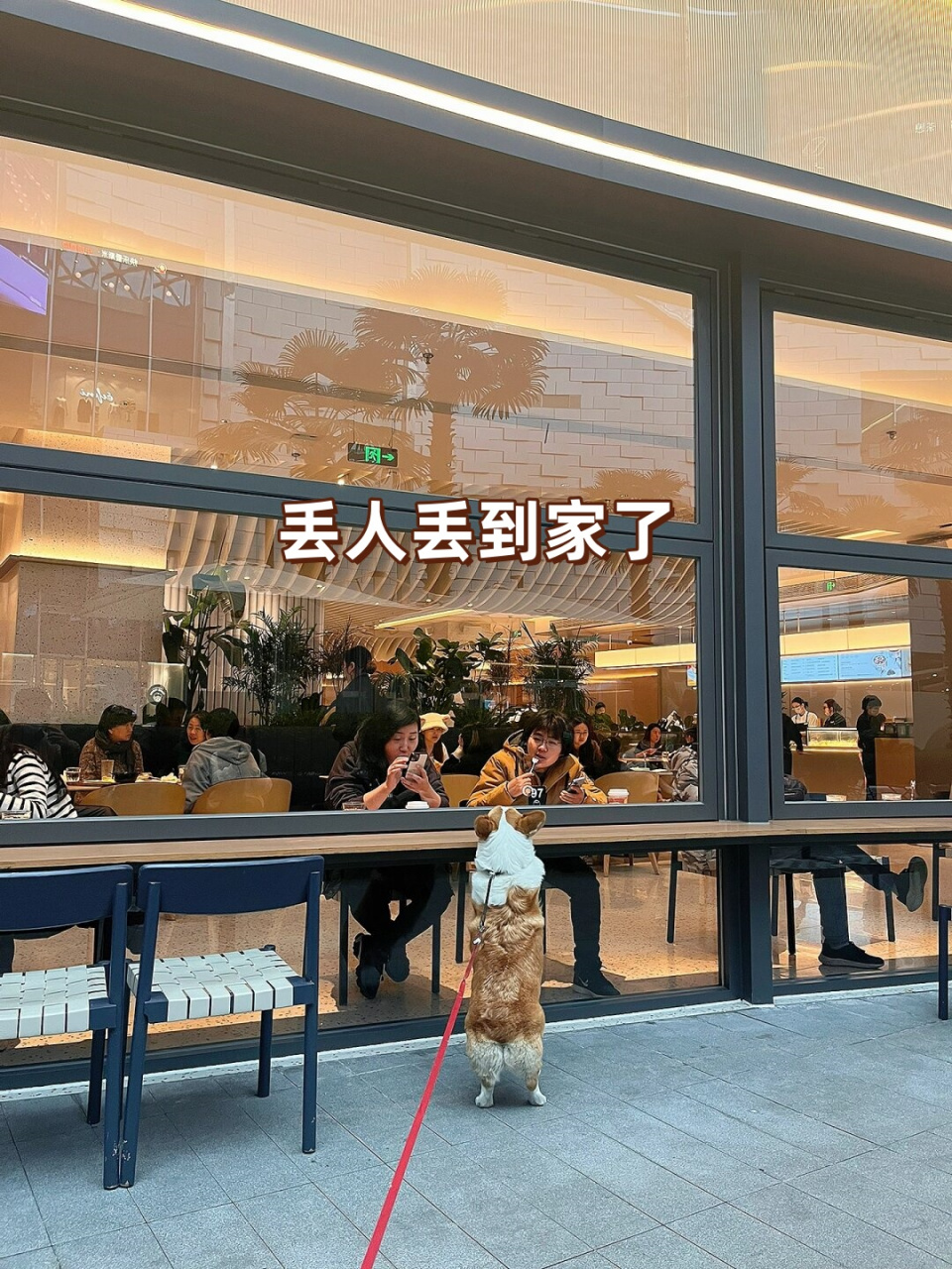 丢人丢到家了  最后到底是炫了人两块牛肉