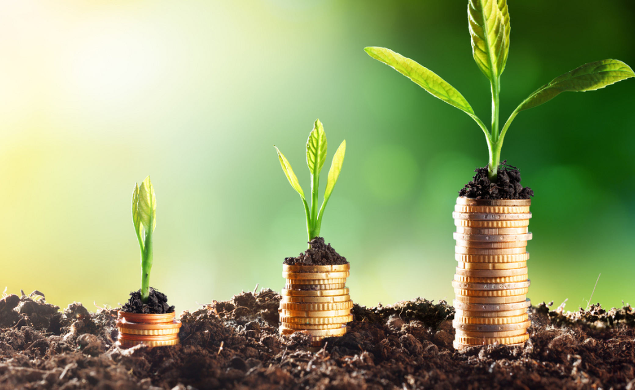 例如,在福建省,南网碳业app推出了绿色发展基金,支