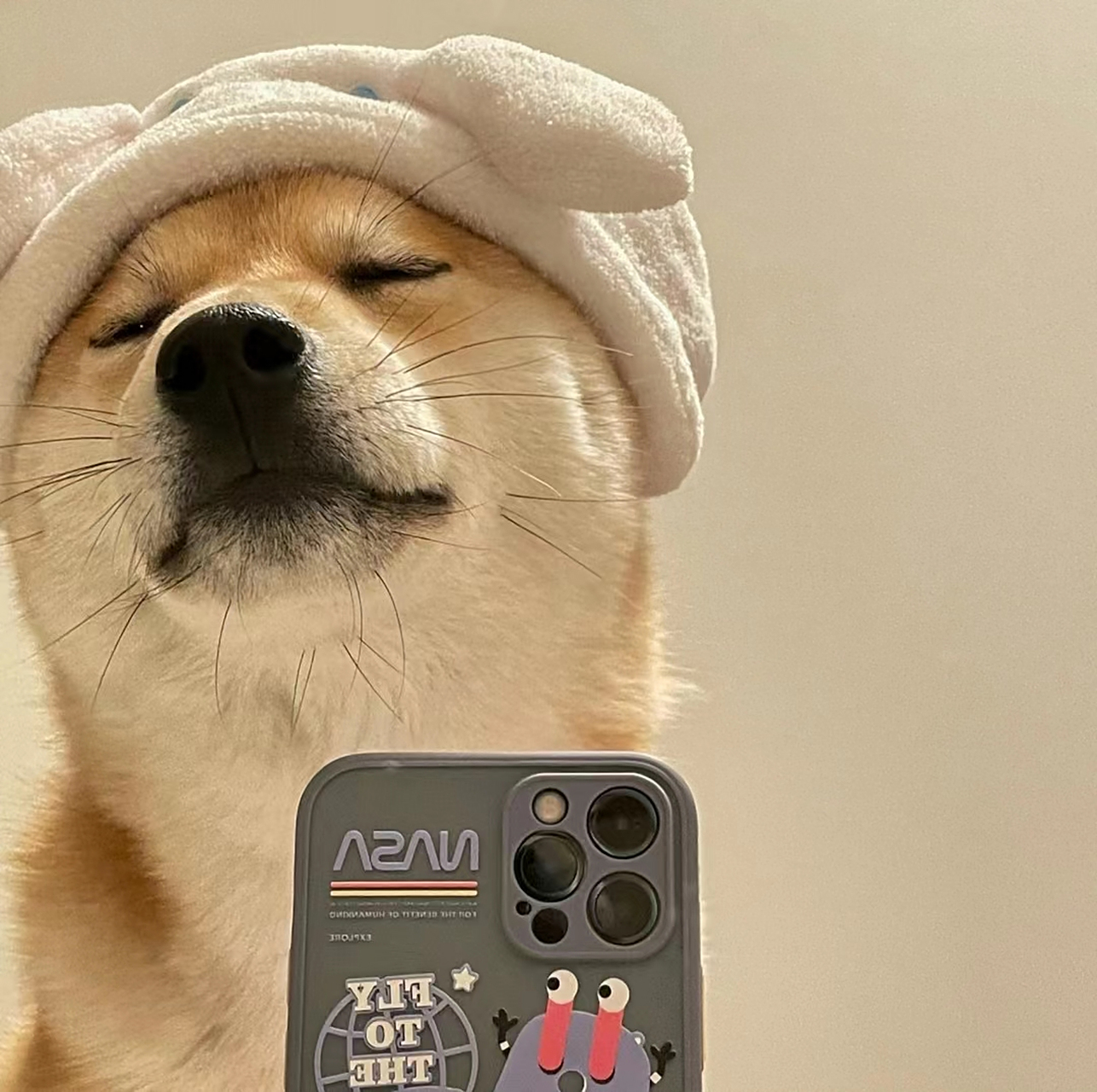 狗狗的自拍到底有多可爱,小柴笑起来相当的治愈,柴犬表情包,柴犬头像