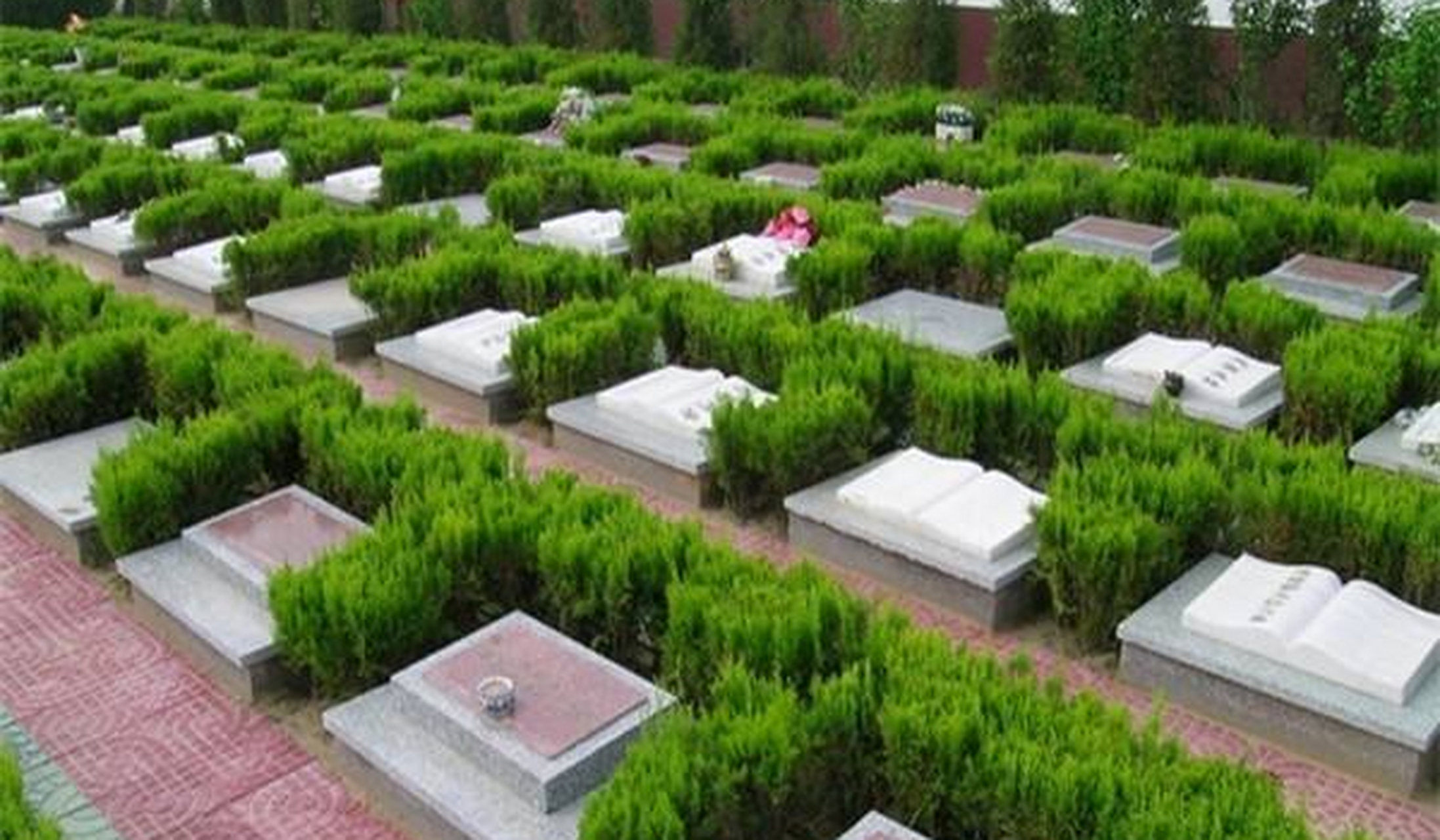 在桃峰陵园买个卧碑贵吗?