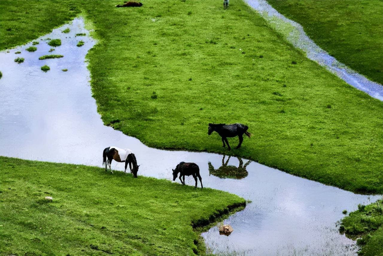 邦杰塘草原地处米拉雪山的中部以.@陈小李领域的动态