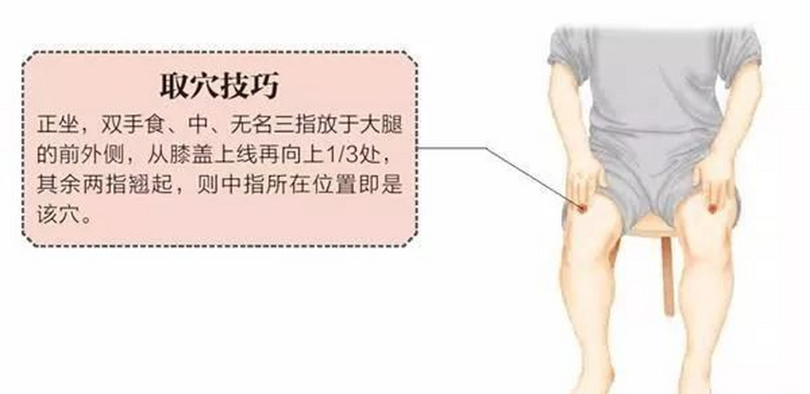 【养生小知识——穴位百科】#穴位#   穴位:伏兔穴  位置: 在人体的