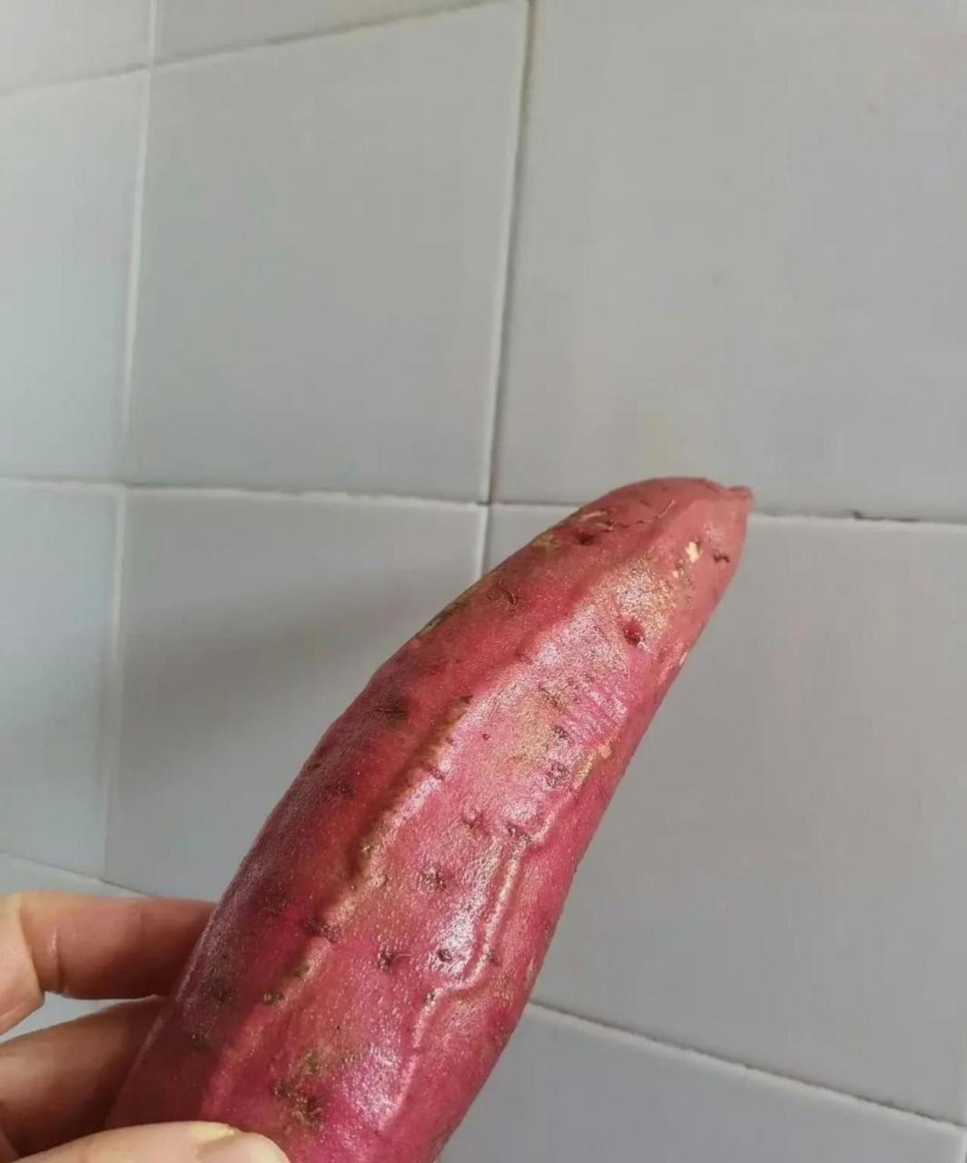 这红薯得了静脉曲张? #搞笑趣味图