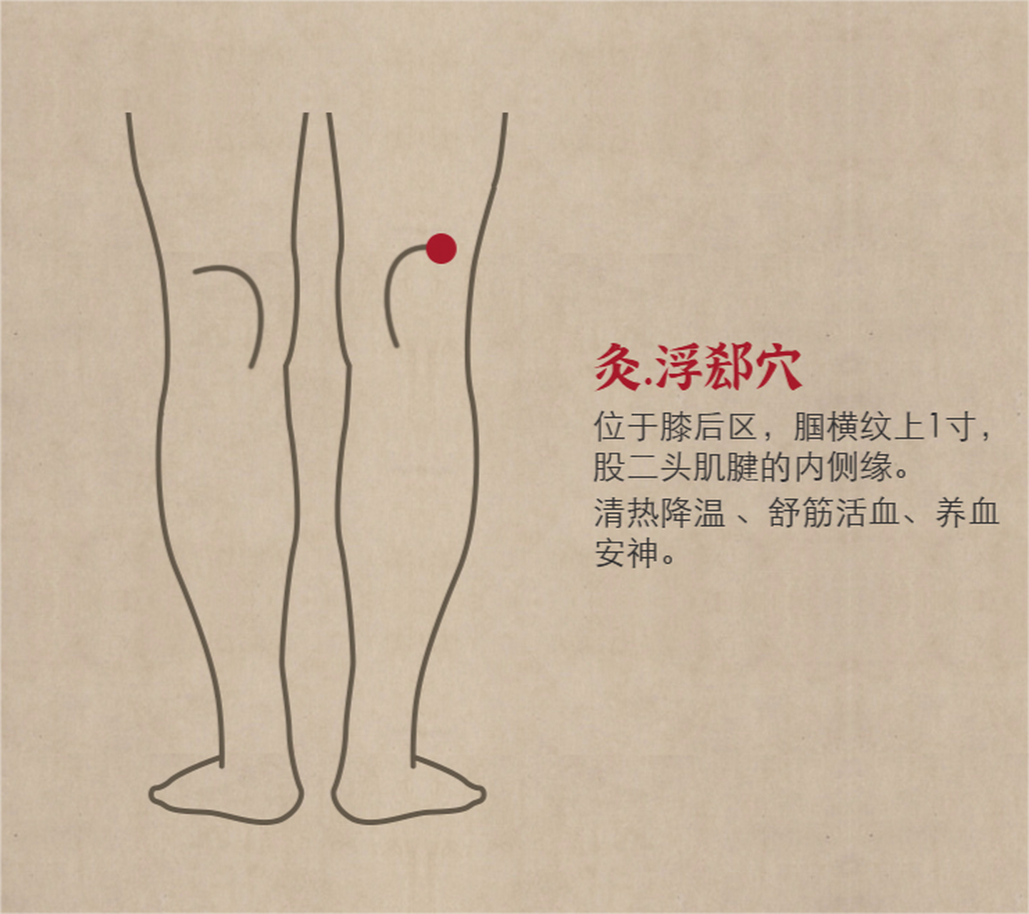 浮郄穴属足太阳膀胱经;浮指顺流,郄即孔隙,本经脉气顺流而下,进入穴