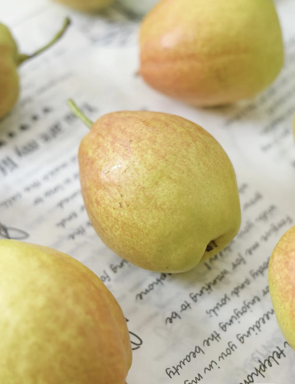 女子裸辞做旅行博主投几十万零收# #新疆库尔勒新疆雪梨 98来自