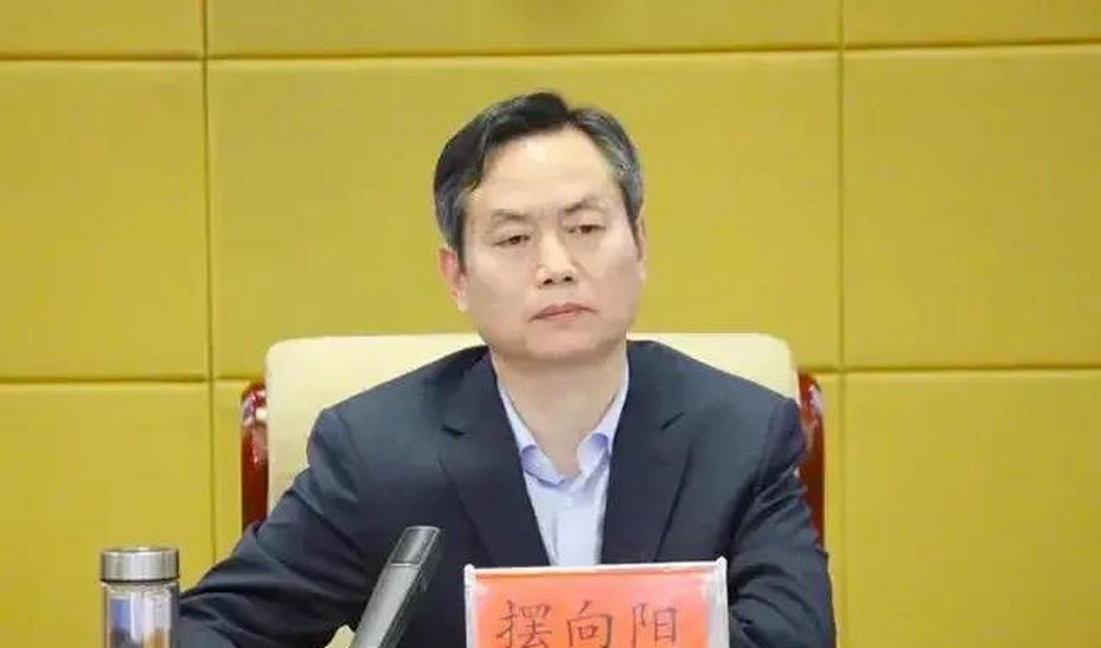 商丘市市长摆向阳火了,因为他提议禁止电动车上路通过了.