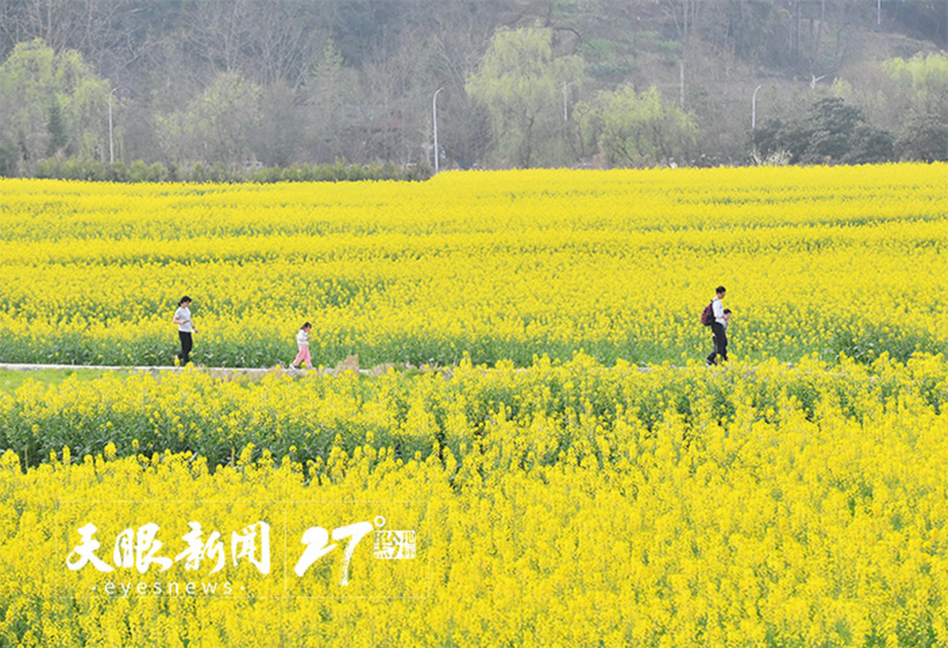 开阳青龙河图片