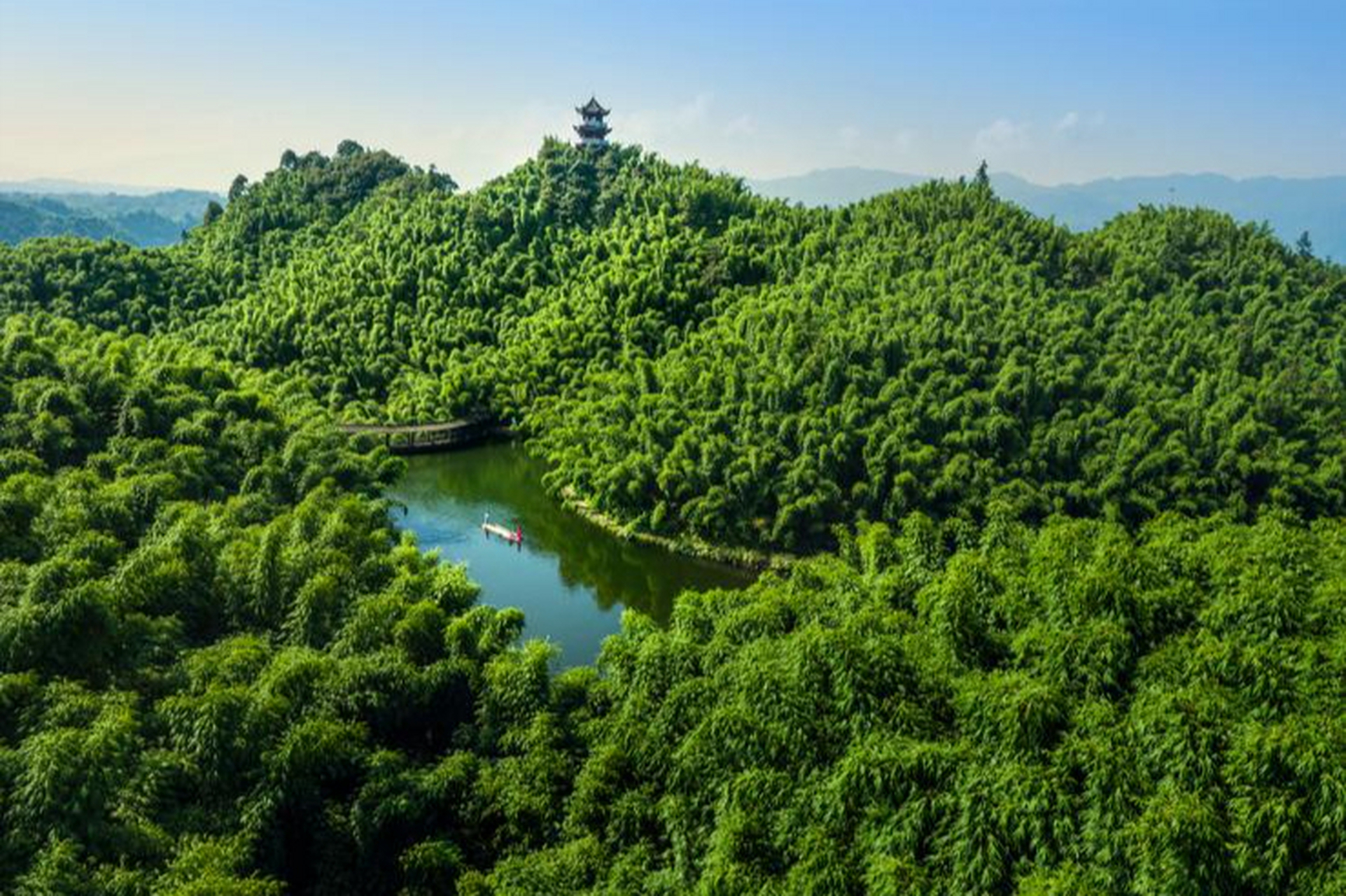 乐山沐川竹海图片