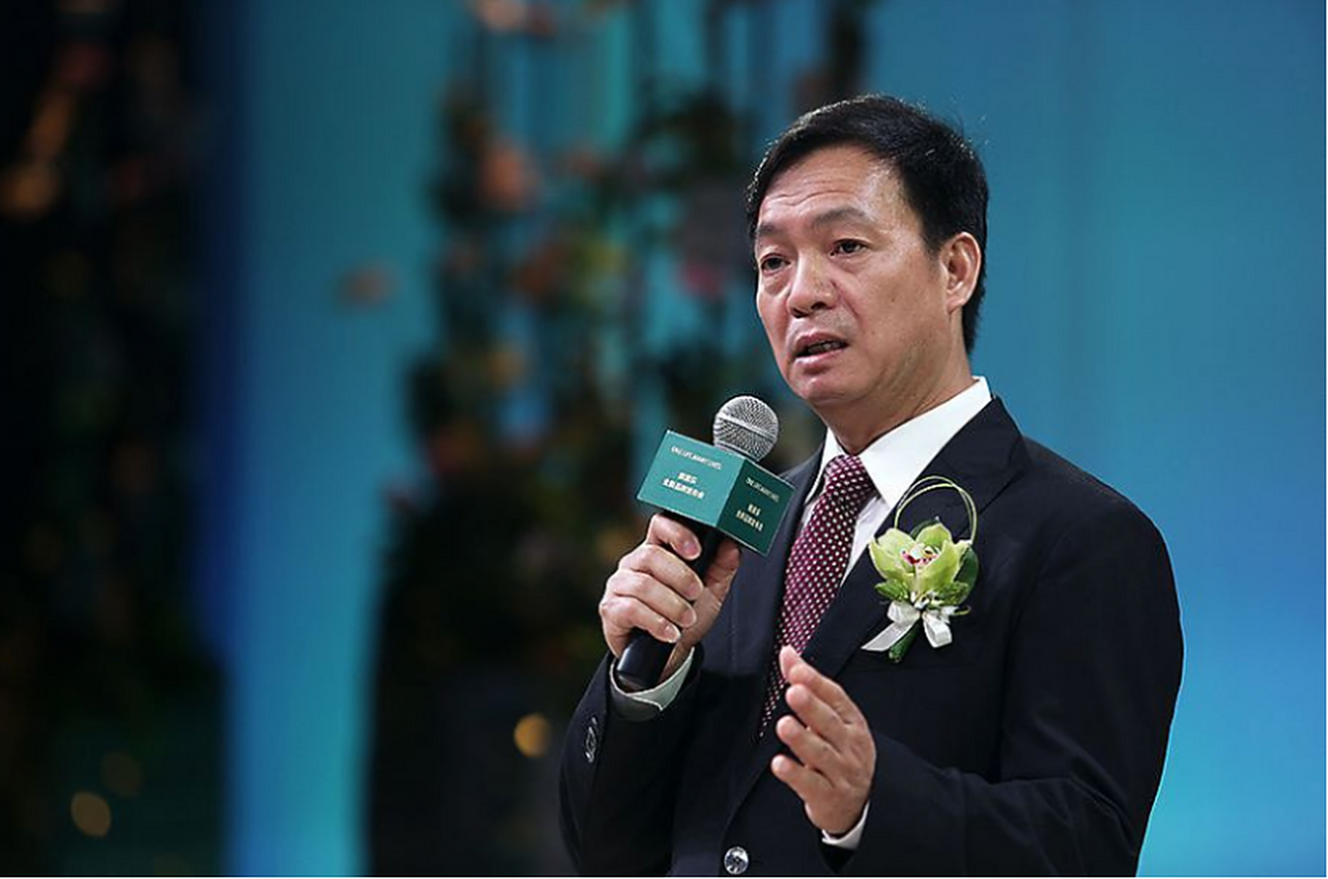 1992年,雅居乐陈卓林进军地产行业,成立了雅居乐地产