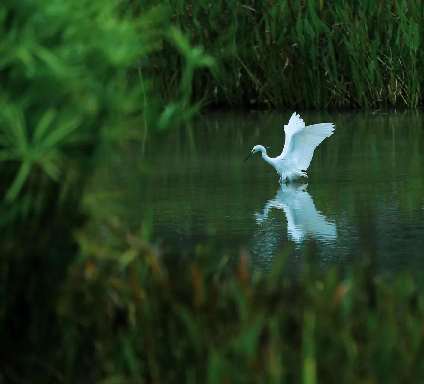 宏立城集团老板肖春红的绿色生态"贡献值" 秉承贵阳市建设生态文明