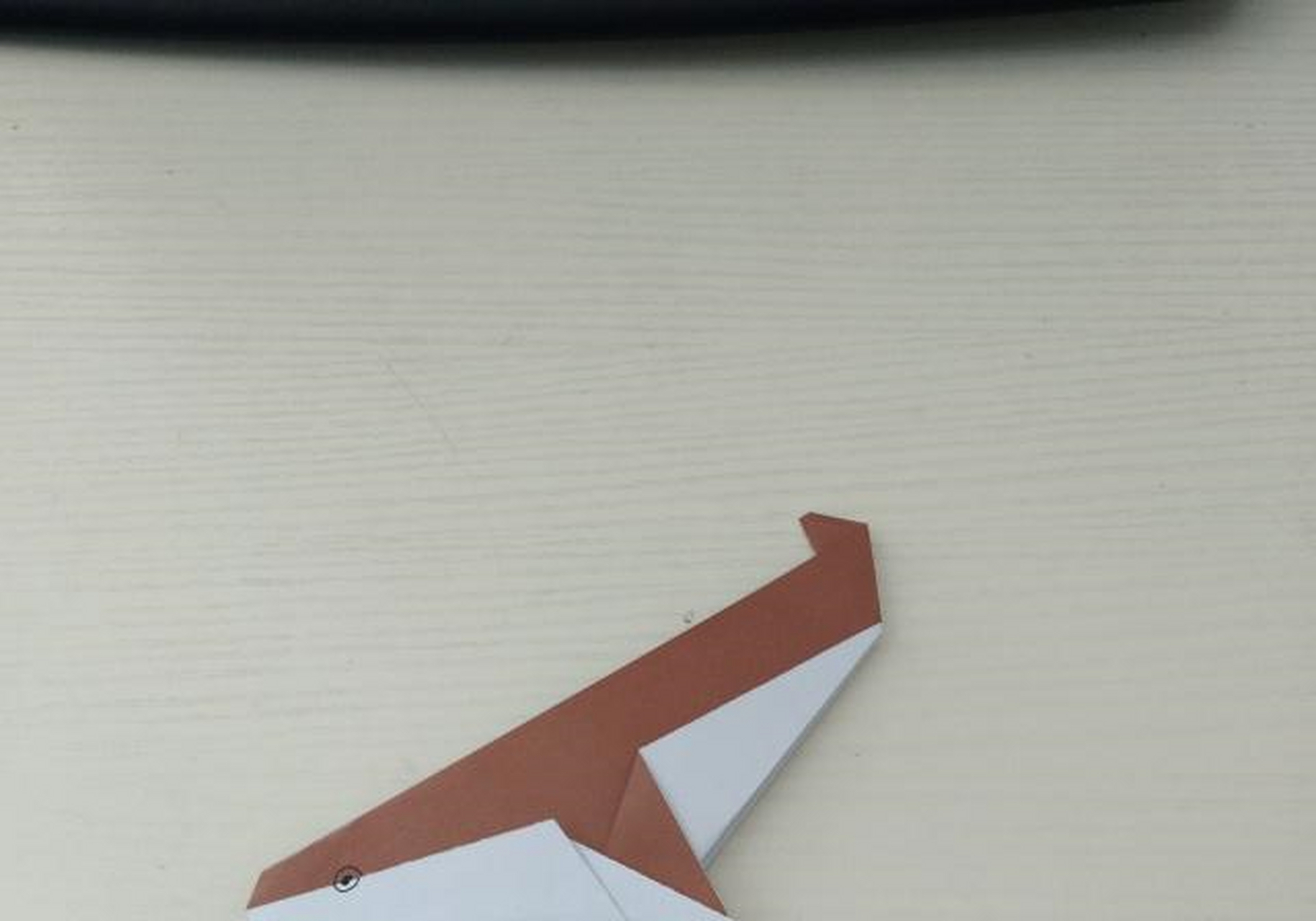 虎鲸手工折纸制作,好玩有趣,快教自己宝宝学知识吧[飞机]