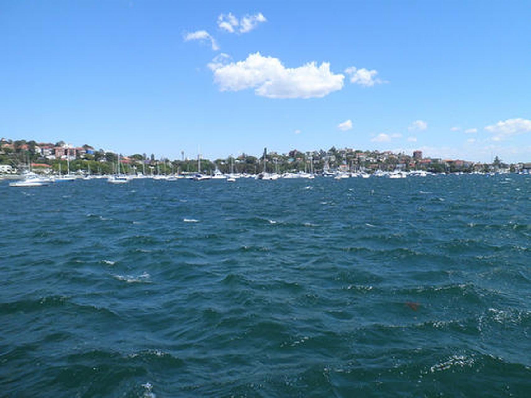 初夏好风景#玫瑰湾:在悉尼必去10大景点中玫瑰湾在当地城区是很受