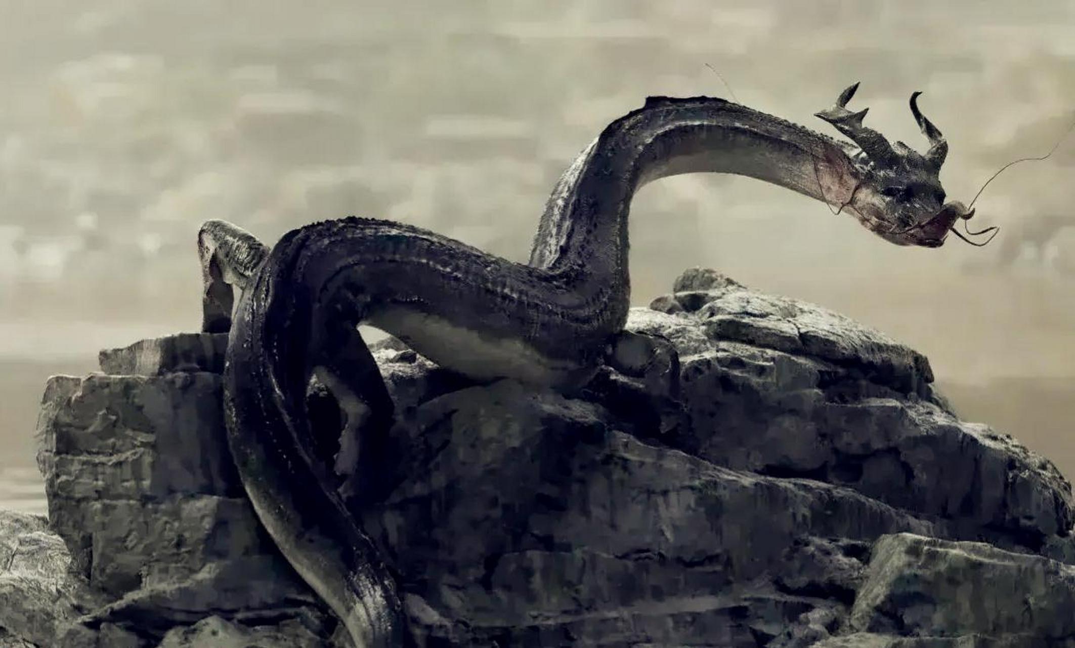 不得不说,这是我见过的最真实的龙,一点不像假的