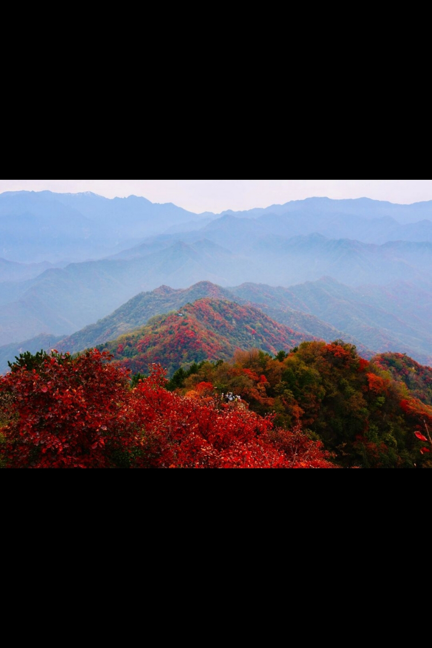末班车上的枫叶之旅  圭峰山位于西安市鄠邑区,距离西安市区约30公里