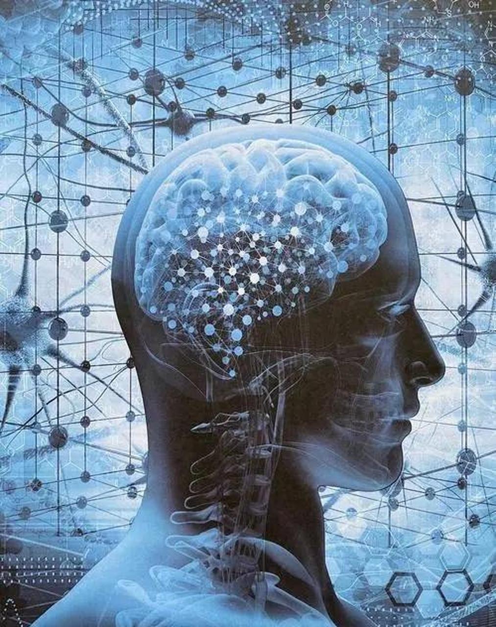 浅谈人类大脑到底有多厉害:  人类的大脑是宇宙中最神秘,最复杂的器官