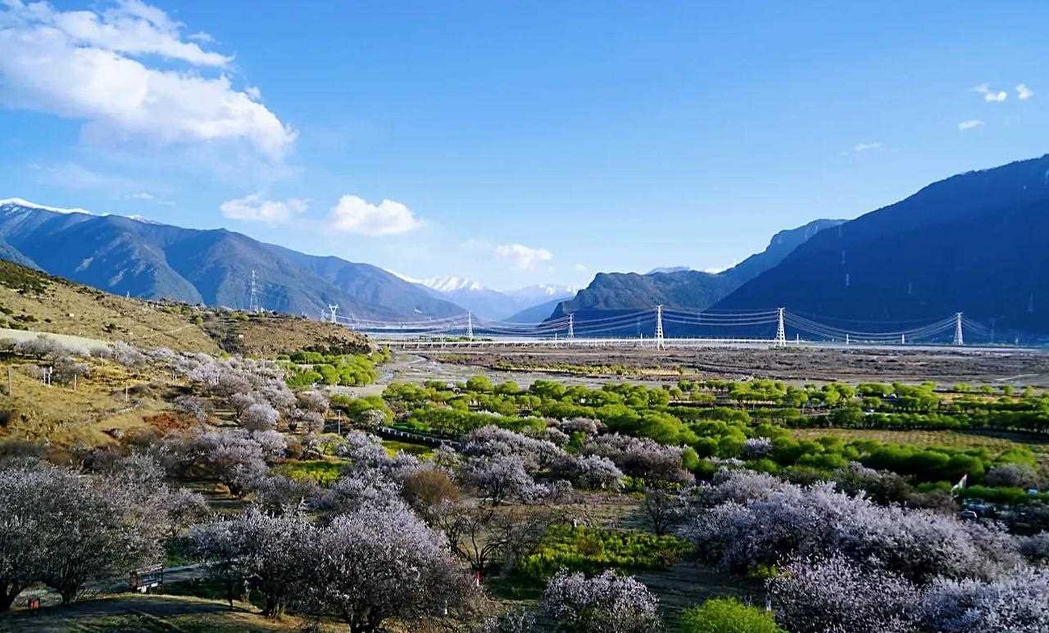 西藏桃花行第二站,林芝嘎拉村.这是林芝桃花节的主会场.