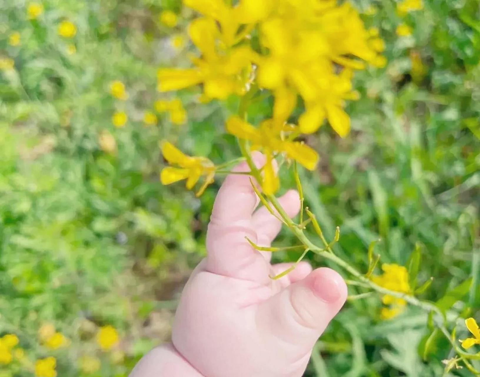 网友:这胖嘟嘟的小肉手,也太可爱了!