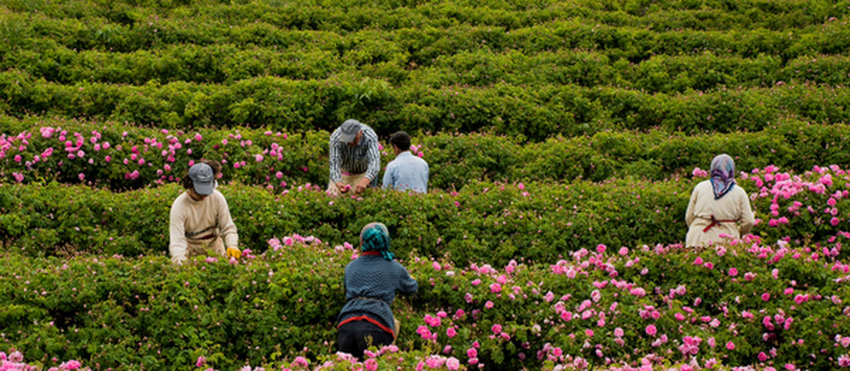 湖区位于土耳其的地中海盆地,以其令人印象深刻的景观,丰富的含氧自然