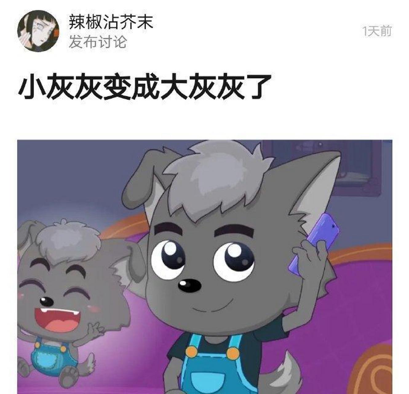 小灰灰长大了变成dj大灰灰了