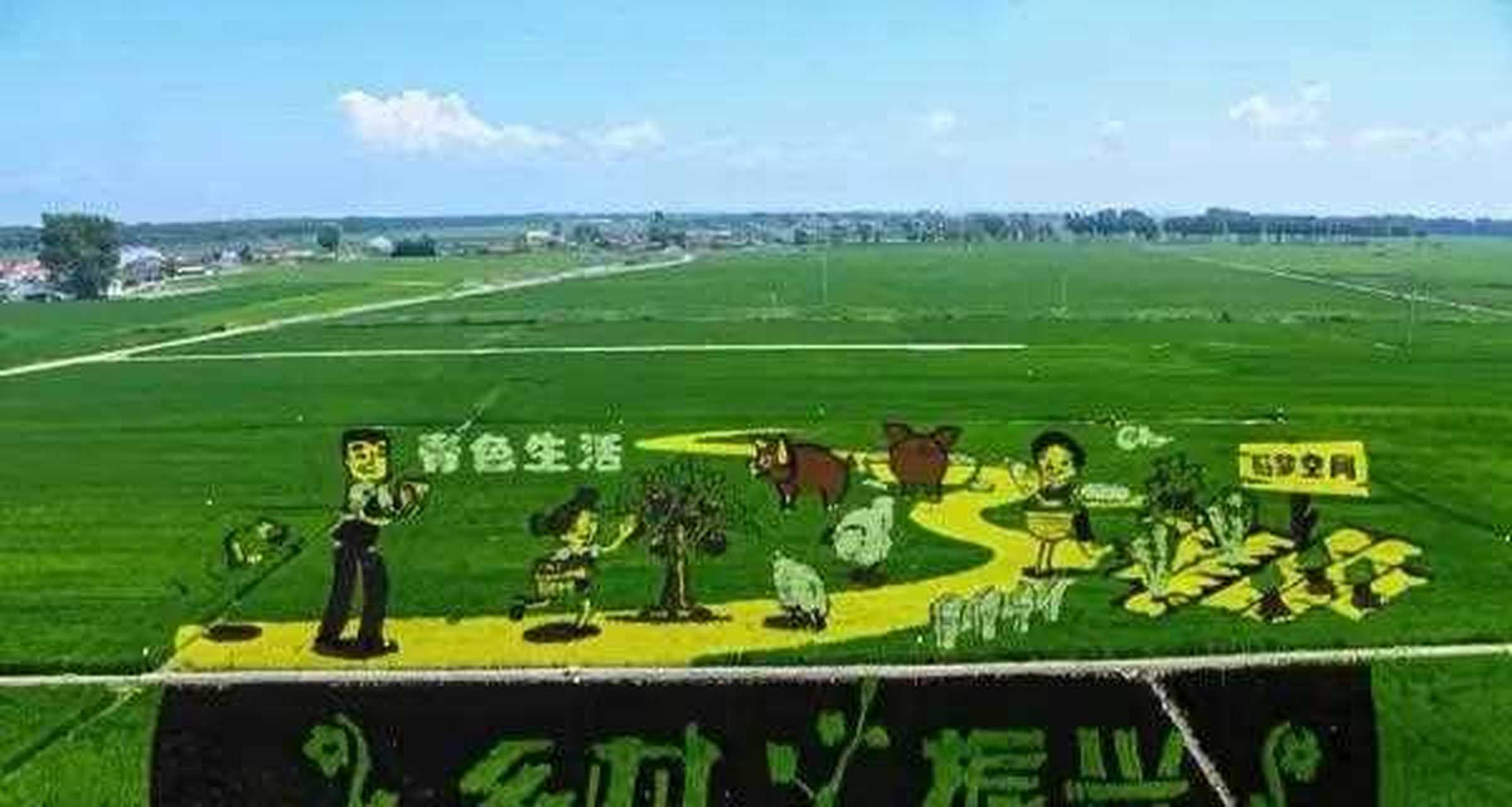 沈阳市沈北新区"稻梦空间"已进入旅游旺季.[汗]