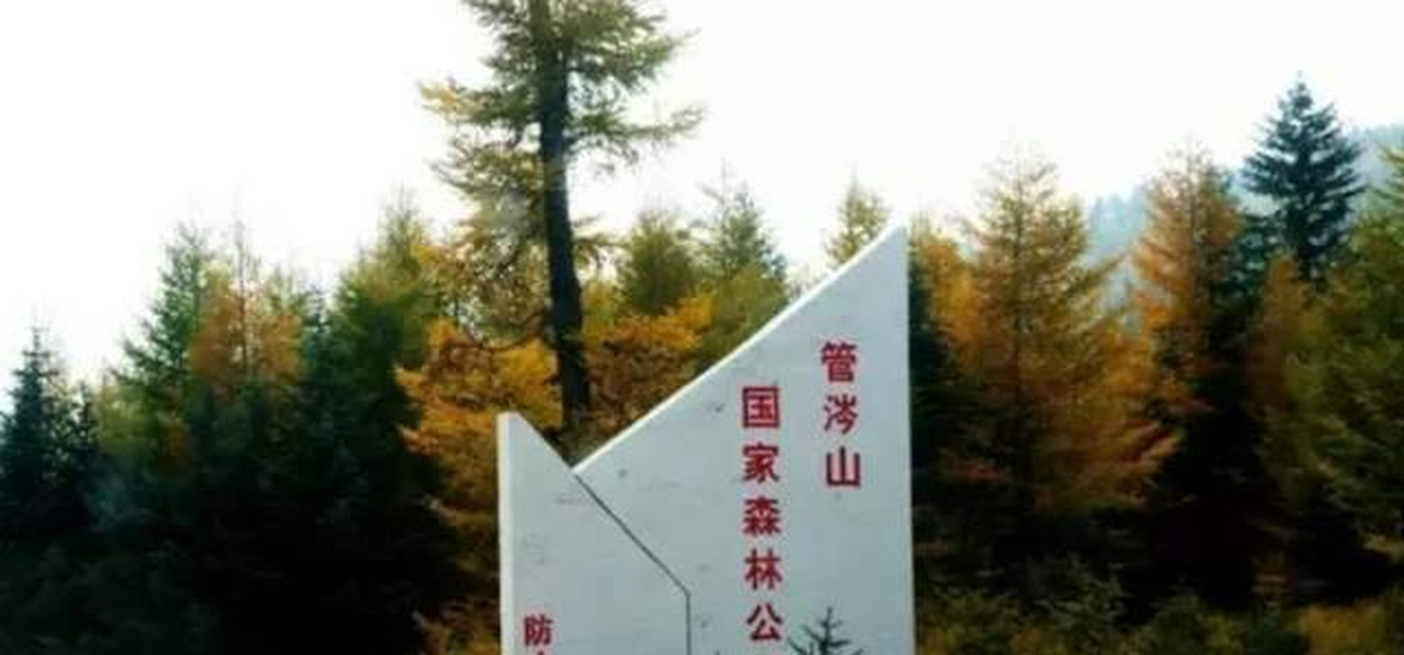 它就是坐落于忻州宁武县的"管涔山国家森林公园,之所以称之它为"