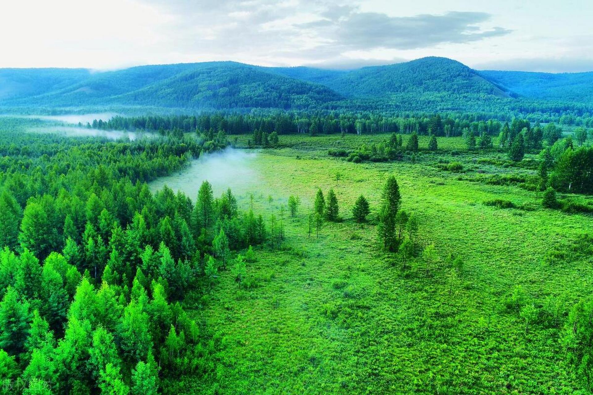 能看到极长白昼的避暑之地——漠河  一到夏天,漠河市北极镇北极村总
