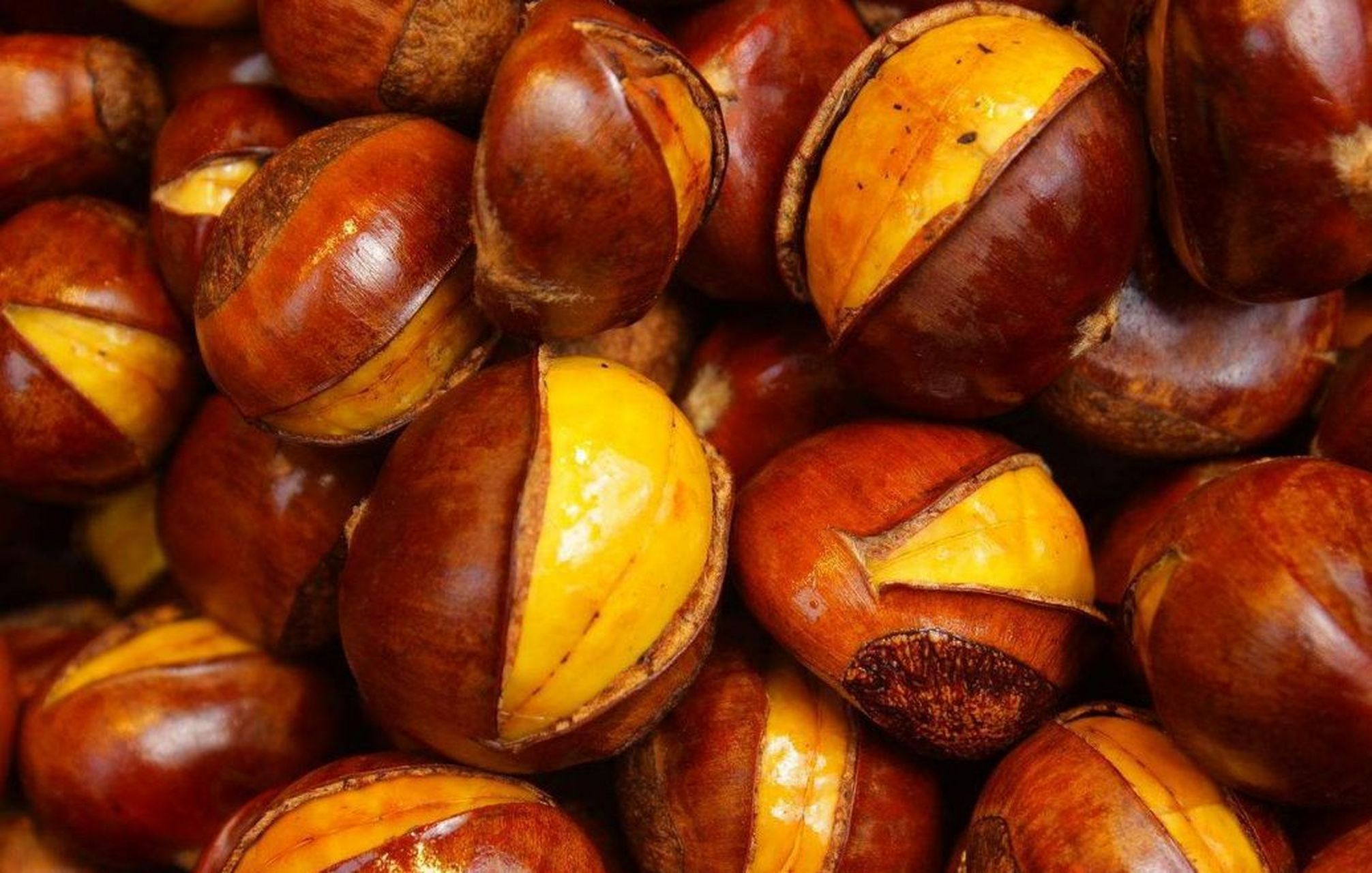 南阳特产——南召板栗 南召县种植板栗历史悠久,早在明清时代南召板栗