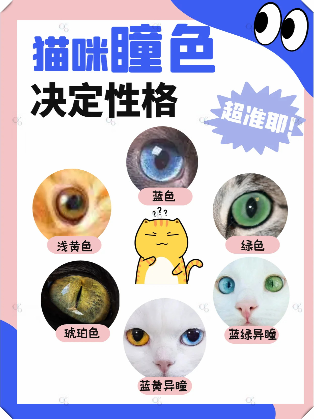 这些常见的瞳孔颜色竟然能预示猫咪的性格哦!