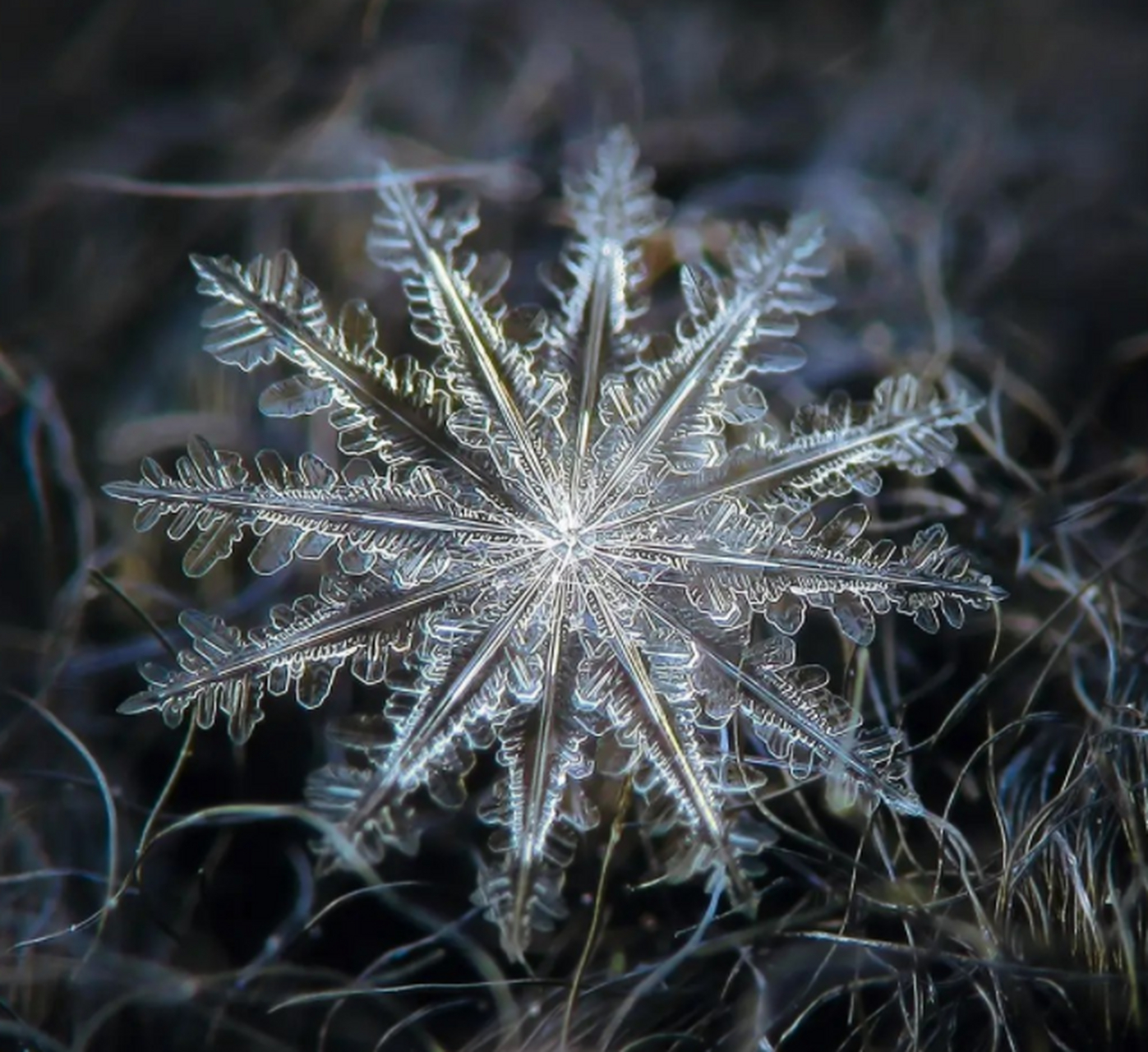 雪花放大100倍真实图片