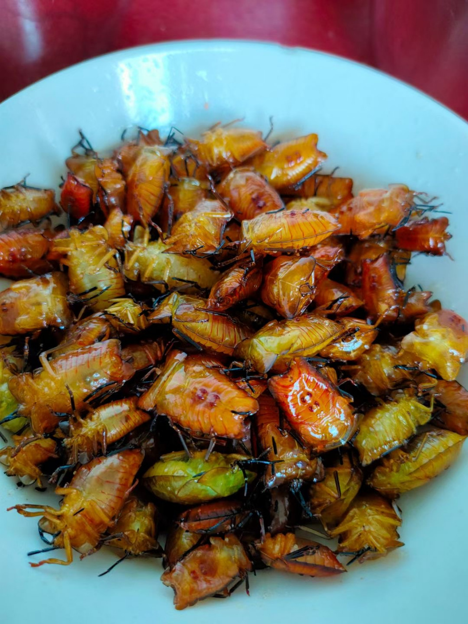 云南人的昆虫下酒菜(原创) 云南人无酒不欢,喝酒就要有下酒菜.