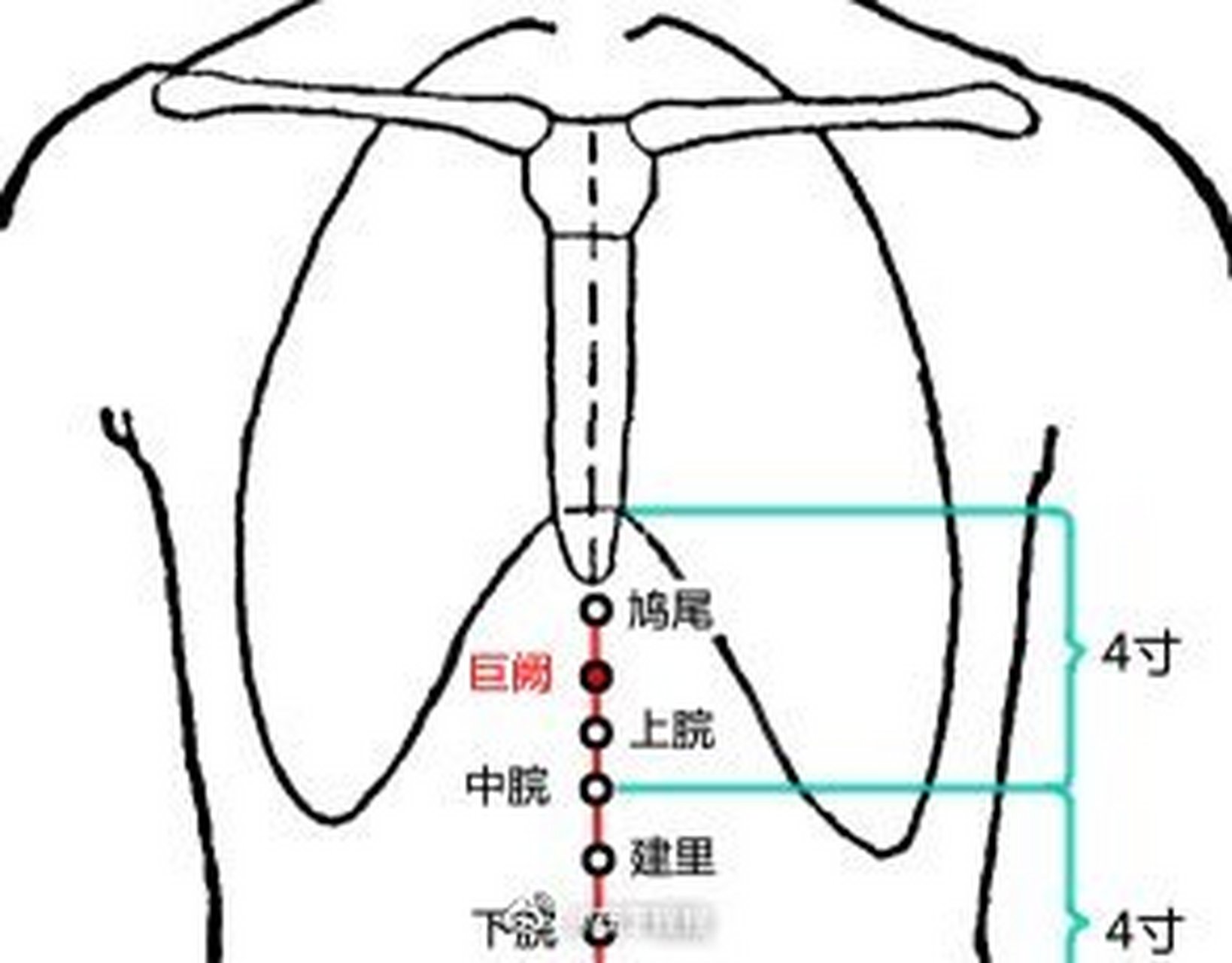 【心累找巨阙】这个巨阙不是宝剑,而是身体重要大穴,巨阙穴,心气募集