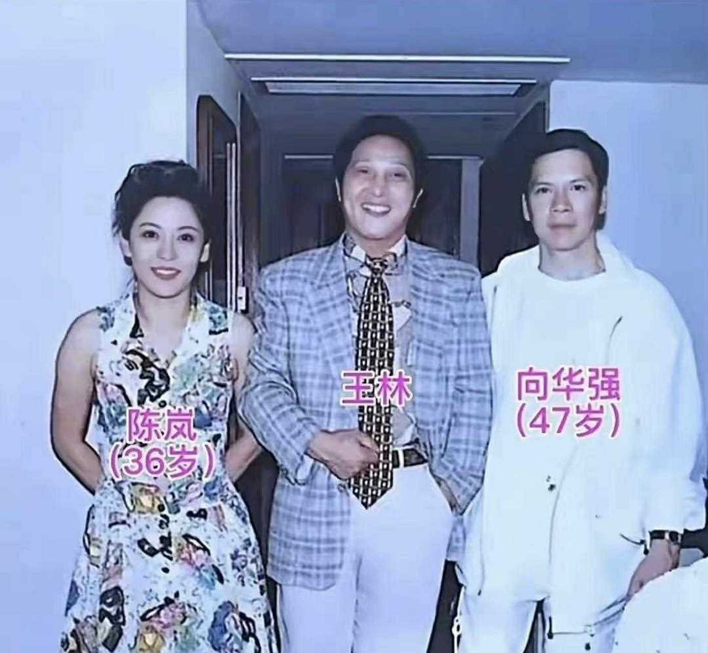 陈岚和向华强的感情,也是颇具传奇色彩.