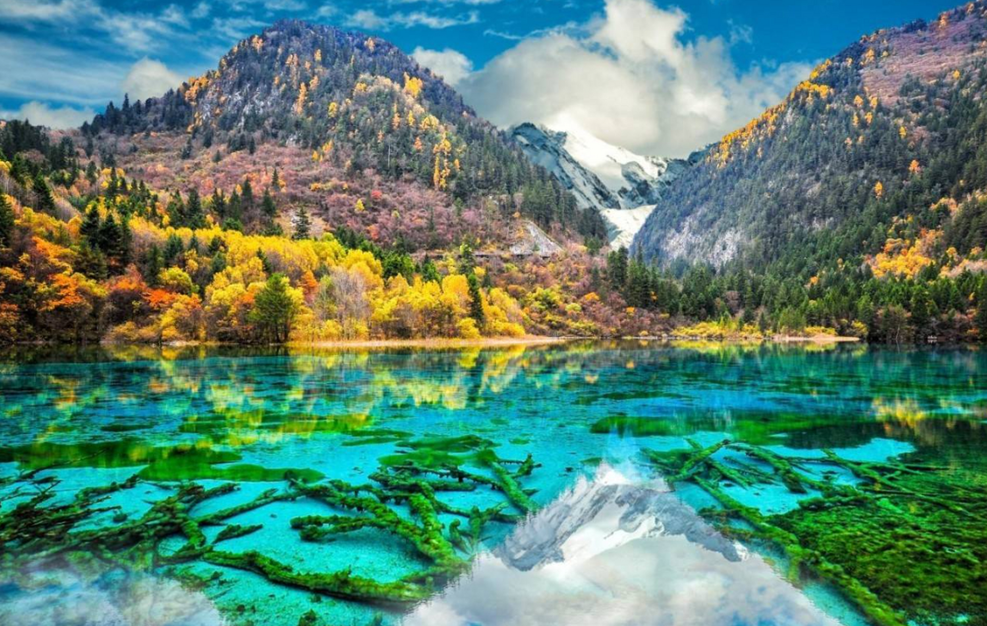 五一假期旅游的热门景点有哪些?  1.