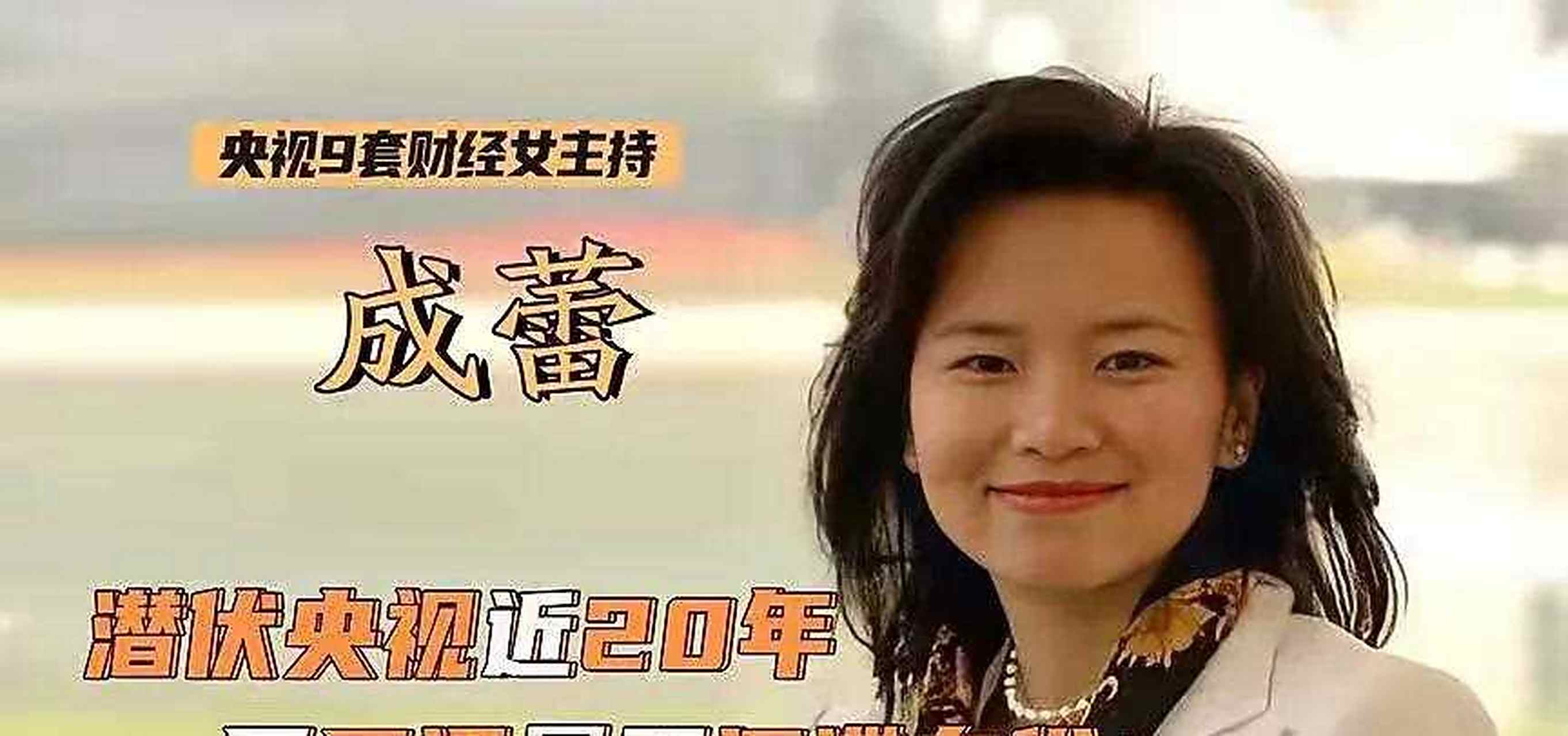 关于央视间谍主持人女成蕾经历的信息