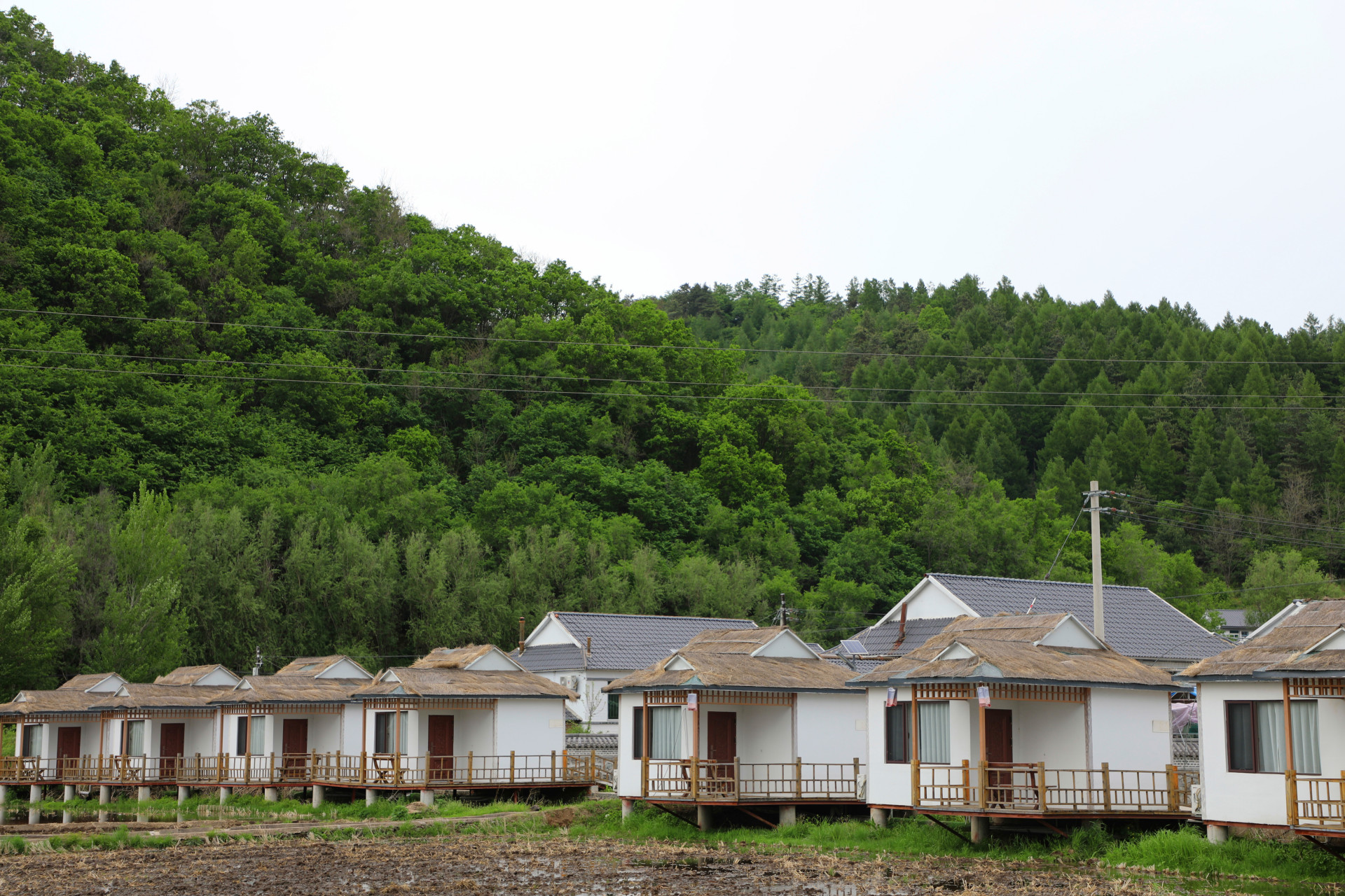 网红打卡地辽宁杠杠滴# 【新宾镇美景】 #美好辽宁欢迎您# #振兴新