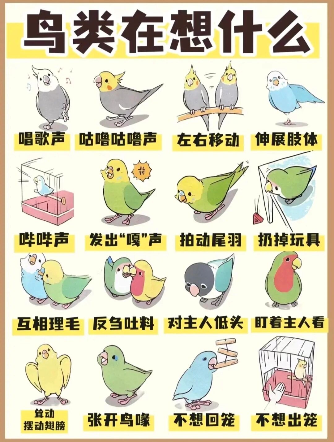 但是,你知道小鹦鹉在想什么吗?