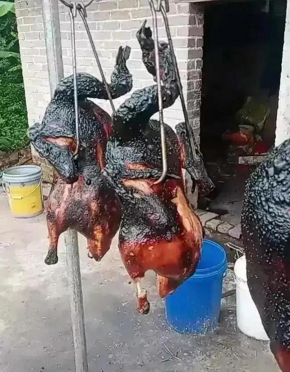 老板说这烤鸭,外焦里嫩,很好吃 #搞笑趣味图