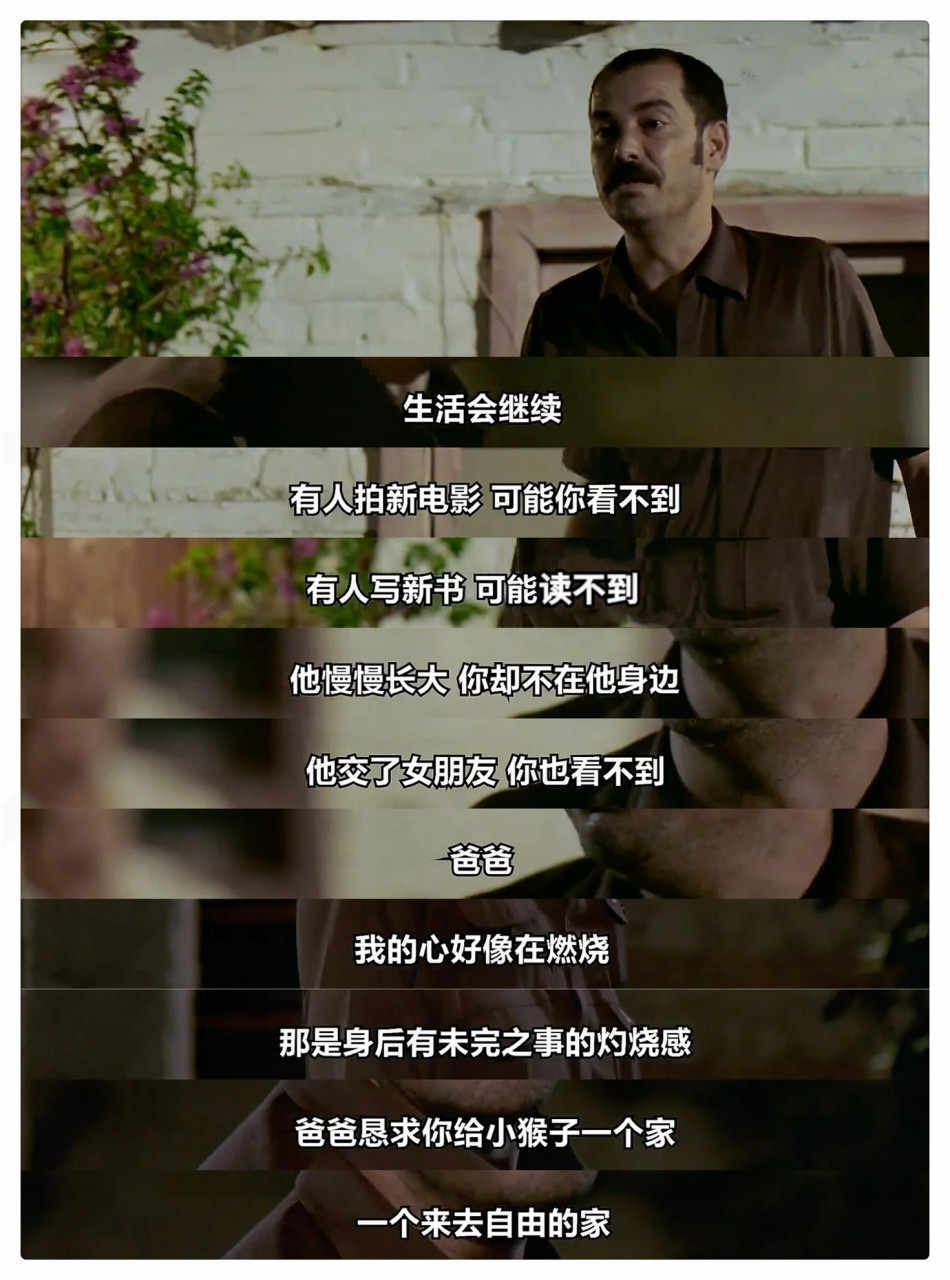 我的父亲的介绍和我的父亲雪茄剧情分析