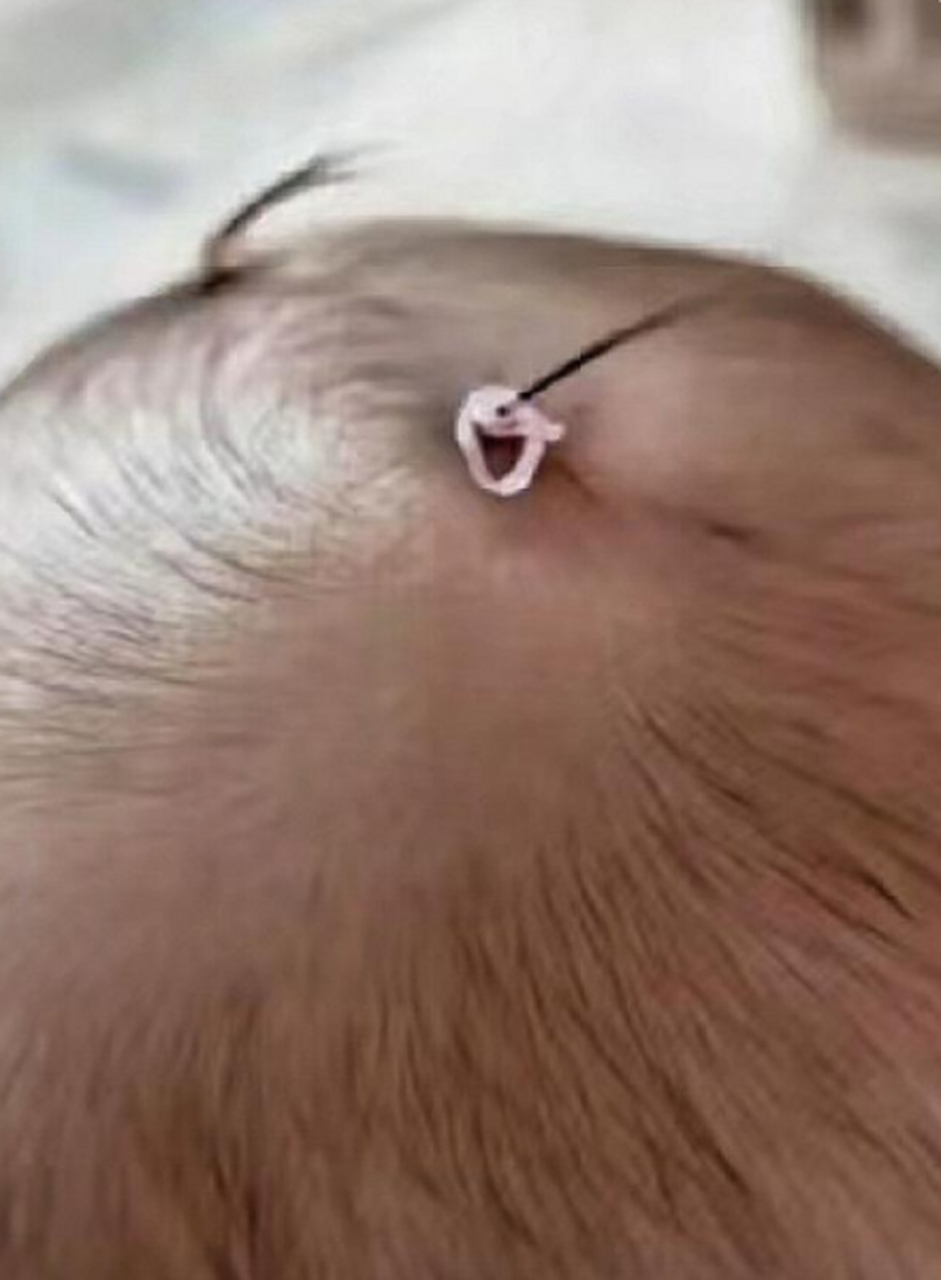 我和我最后的倔强