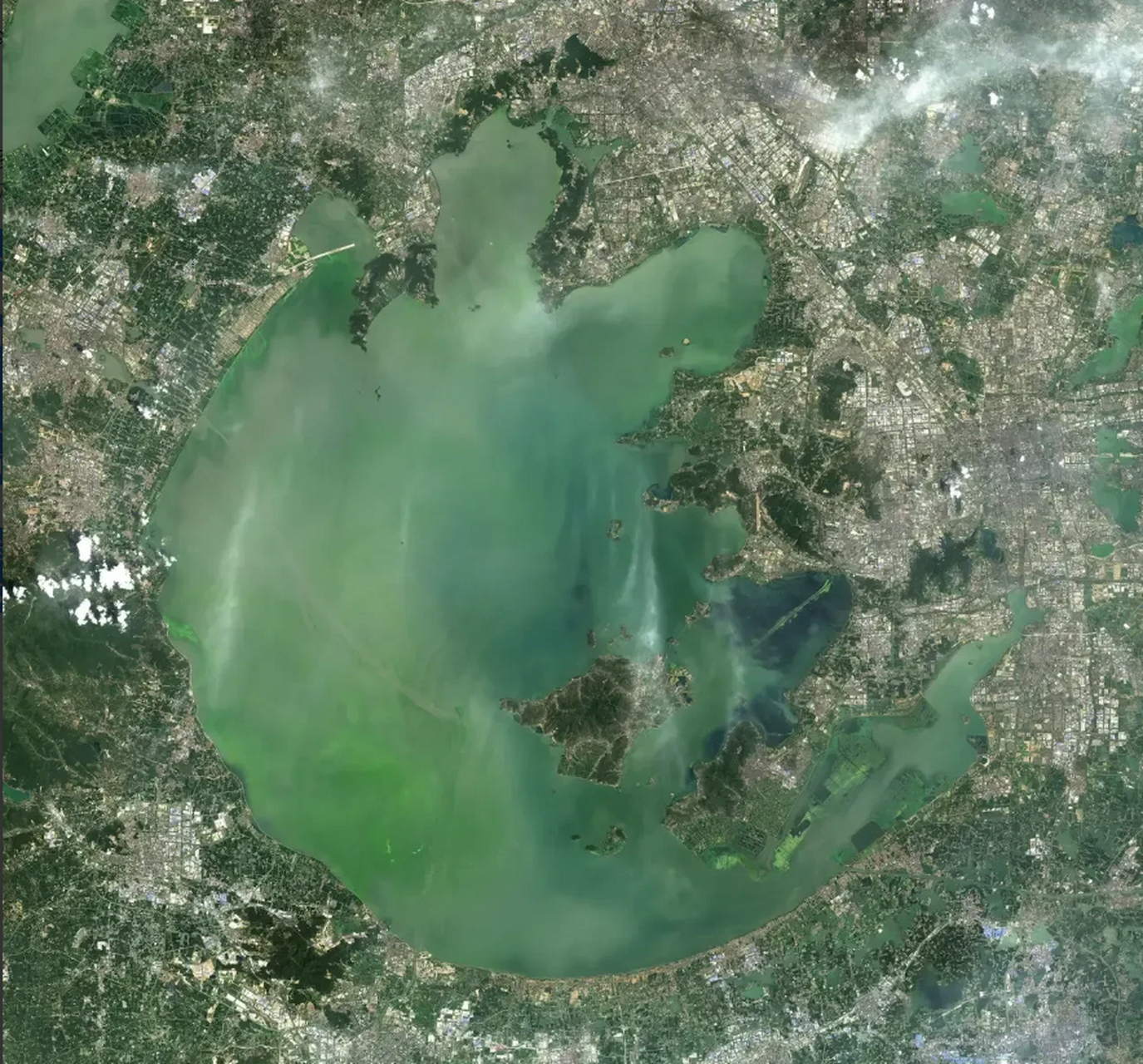 卫星图上可以清晰的看到,太湖有向城市内湖演变的趋势.