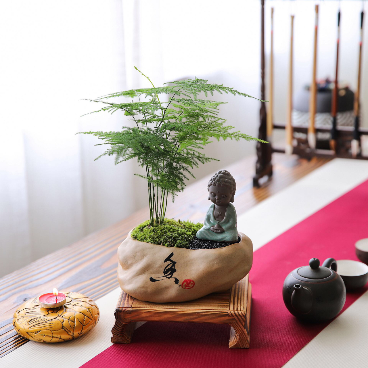 每天认识一种绿植:"文雅之竹"文竹 🌵名称:文竹 🪴别名:云竹,山草