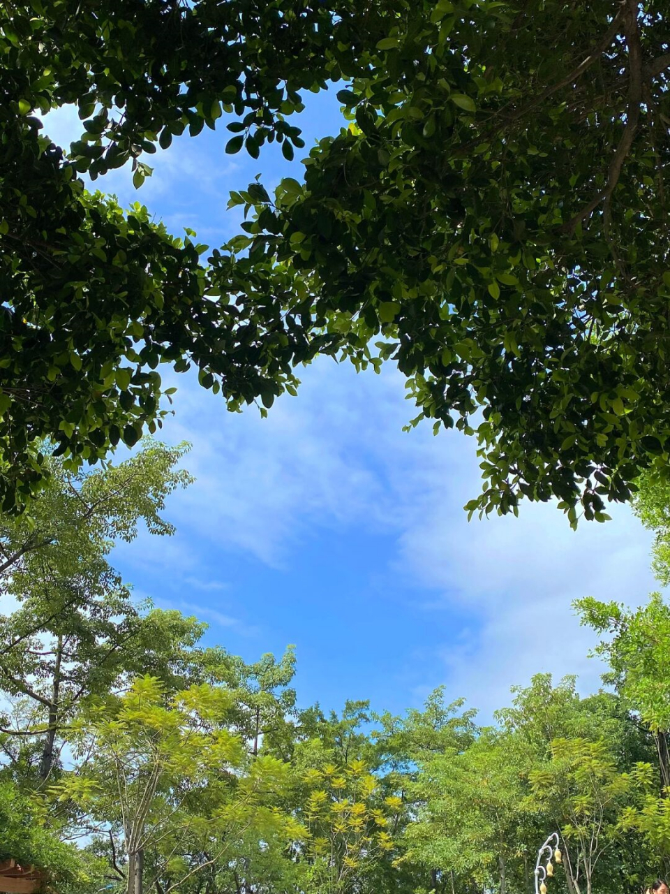 柳州马鹿山公园拍照真的巨出片  假期避开人群我们来了这个公园拍照