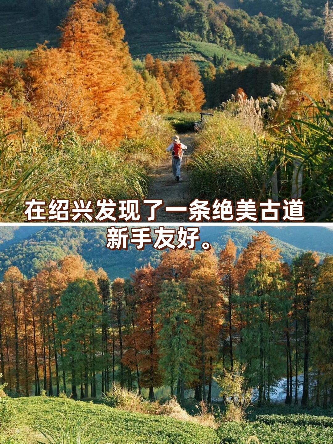 在绍兴发现了一条绝美古道,新手友好.