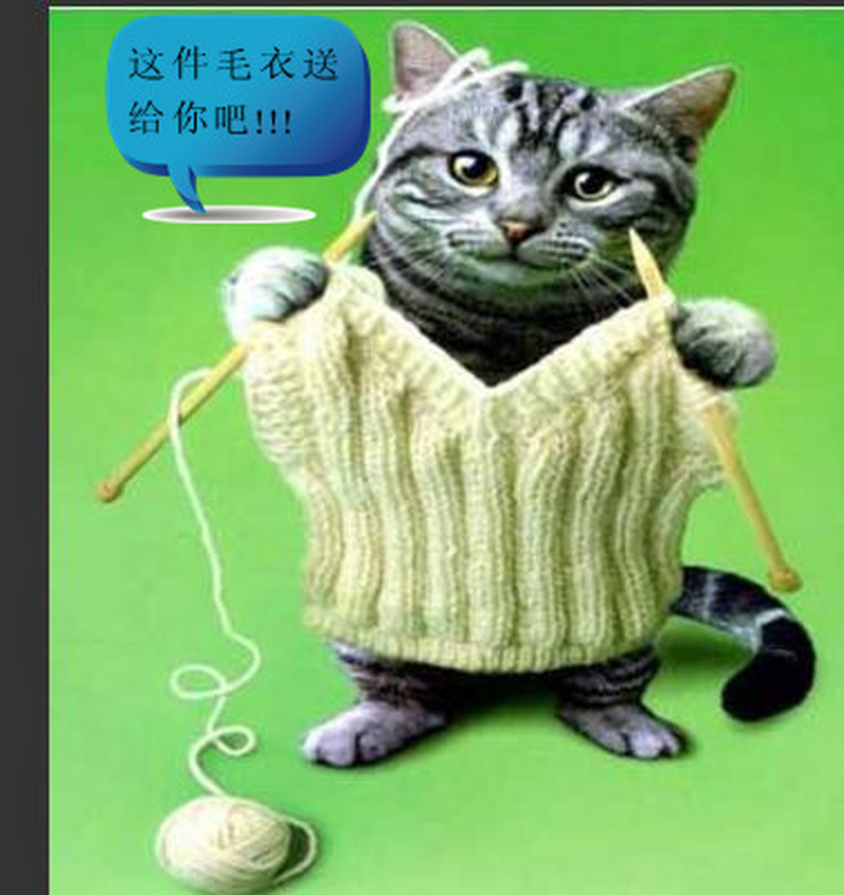 搞笑动物图片系列:织件毛衣送给你#搞笑#动态贡献者奖励计划