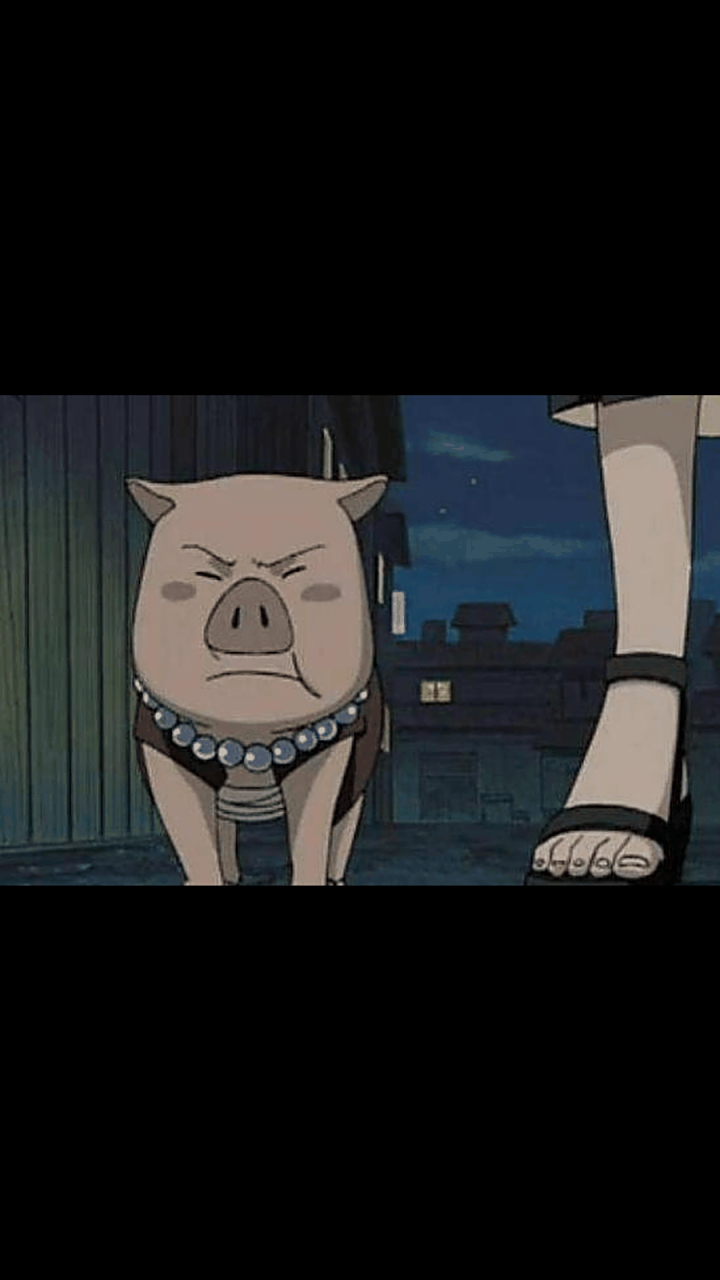 火影忍者中的豚豚居然可以值一个s级任务!