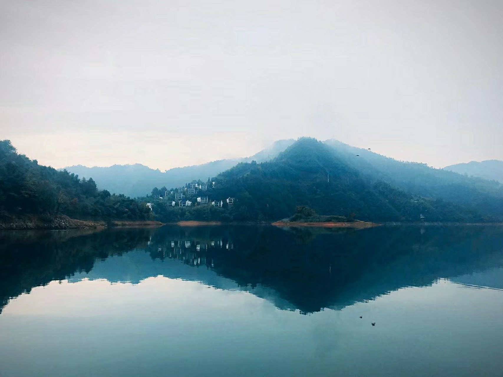 回归茶园山水间,安吉阿丽拉 放空身心,回归茶园山水间,安吉阿丽拉