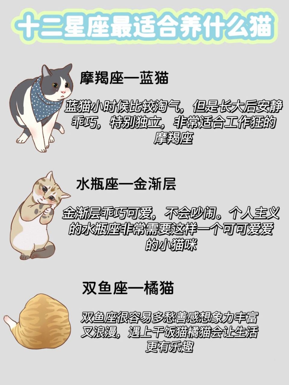 有没有很喜欢看星座的姐妹们白羊座,那你知道和你星座相匹配的猫咪