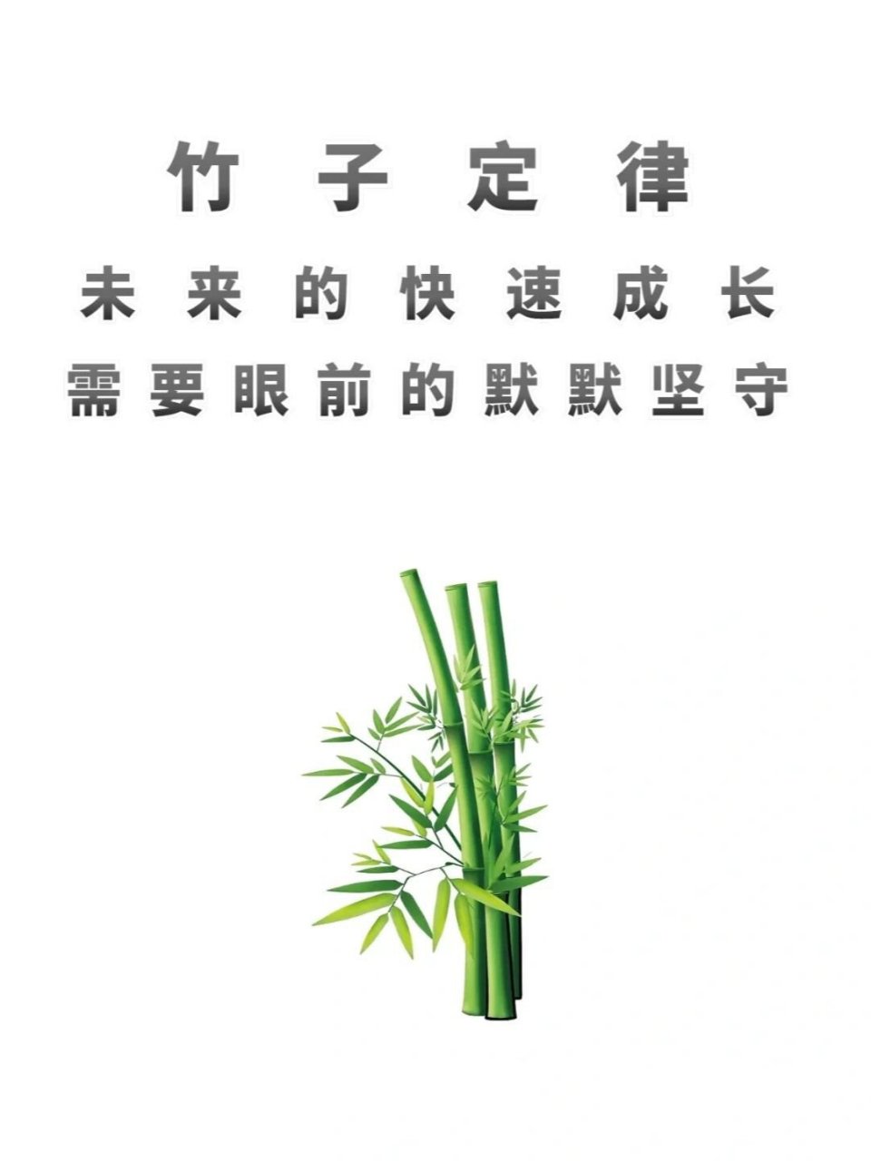 竹子定律:未来的快速成长,需要眼前的坚定	"你的日积月累,才能带来